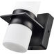 None LED 13 inch Matte Black Outdoor Wall Sconce